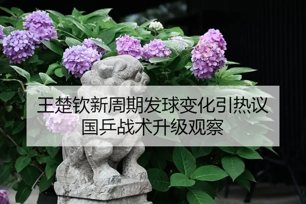 王楚钦新周期发球变化引热议 国乒战术升级观察